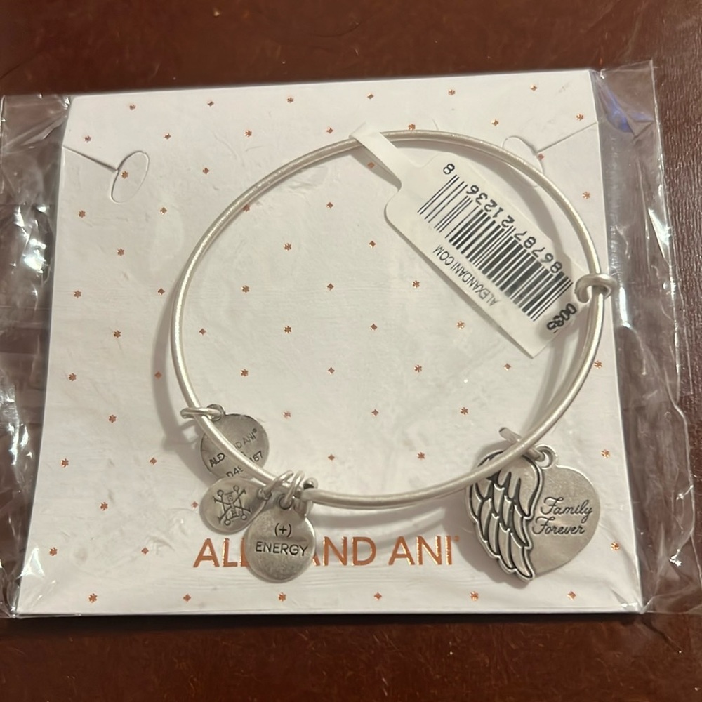Alex and Ani bracelet